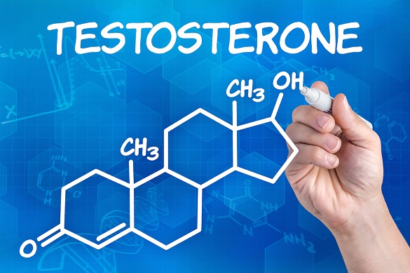 Свободный тестостерон и угревая сыпь