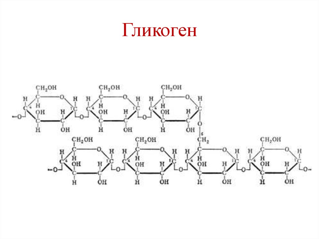 Какой буквой на рисунке обозначен орган в котором происходит превращение глюкозы в гликоген