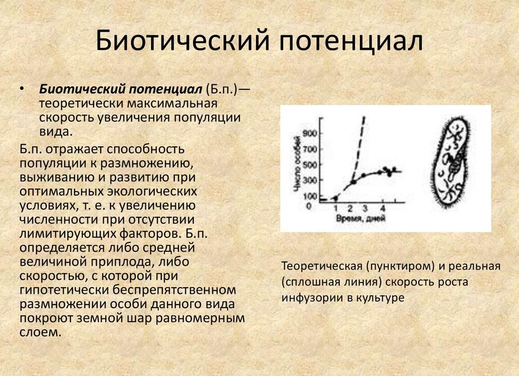 Биотический потенциал: что это такое и как он отражается в биологической эволюции