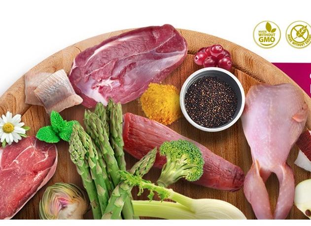 Белки высокой биологической ценности: что они собой представляют, характеристики и источники